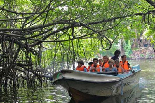 Visitors in orange life jackets on a boat gliding under the mangrove roots on a Bentota river safari